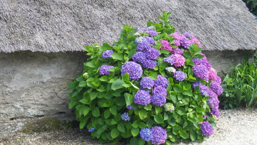 La Musardise Bed & Breakfast Guerande Bagian luar foto