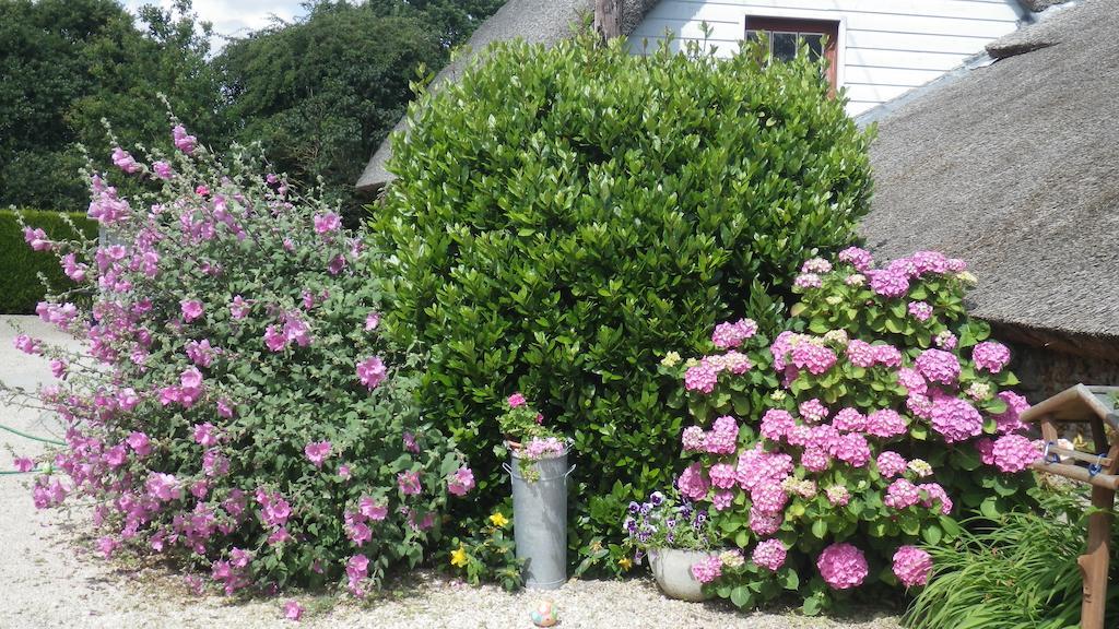 La Musardise Bed & Breakfast Guerande Bagian luar foto